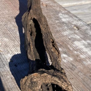 Könnte beinhalten: Ein verwittertes Stück Treibholz mit dunkelbrauner Farbe und rauer, strukturierter Oberfläche. Das Holz hat ein großes, unregelmäßiges Loch und eine natürliche, organische Form. Ein gelbes Maßband befindet sich im Vordergrund.
