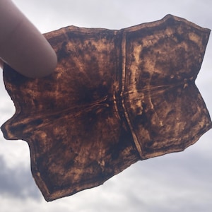 Peut inclure: Un objet translucide brun de forme irrégulière est tenu contre un ciel nuageux. L'objet présente une surface texturée avec des veines brun foncé et une forme organique unique. Les bords sont légèrement plus foncés que le centre.