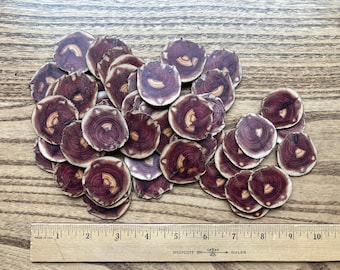 Redcedar Extra-Thin Slices, Lot of 50, Natural Wood, Hand Cut average 1/16th inch thickness