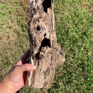 Op de afbeelding: Een stuk verweerd drijfhout met een ruw, getextureerd oppervlak, voorzien van diepe groeven, natuurlijke knoesten en onregelmatige gaten in de bruine en beige houtnerf, wat een rauwe, natuurlijke en verouderde uitstraling geeft.