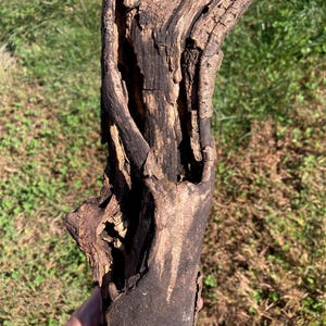 Puede incluir: Un trozo de madera flotante desgastada con una superficie texturizada de color marrón oscuro y una cavidad profunda y hueca que recorre verticalmente el centro. La madera muestra grietas naturales, vetas rugosas y tonos marrones.