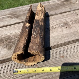 May include: A hollow, cylindrical piece of weathered brown driftwood with a rough, textured bark surface and a deep vertical split running along its length, measuring approximately 20.3 cm in length as shown by the yellow measuring tape.