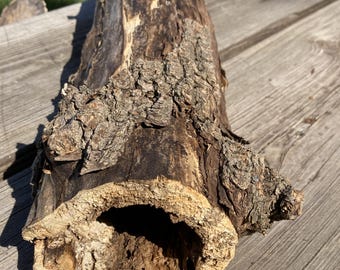 Hollow Boxelder Log, Natural Wood 19 Inch Length, Terrarium/Vivarium Pet Habitat/Hide Reptile/Rodent, Decor