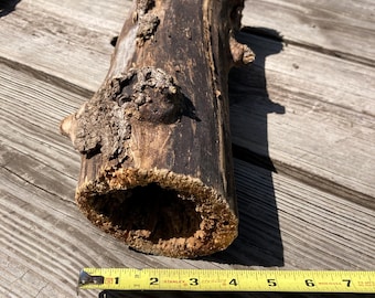 Hollow Boxelder Log, Natural Wood 16 Inch Length, Terrarium/Vivarium Pet Habitat/Hide Reptile/Rodent, Decor