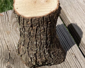 Ironwood Log, Eastern Hophornbeam, 7 x 3.5 inches, Carving/Whittling, Natural Decor, Crafts, Terrarium