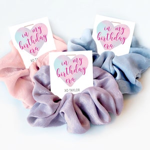 In My Birthday Era Party Favors, Hair Scrunchie Favors, Pastel Eras Party Favors, Taylor Birthday Party Goodie Bag Fillers for Girls