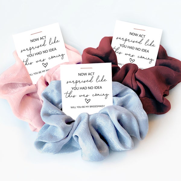 Funny Bridesmaid Proposal Hair Scrunchie, Now Act Surprised Like You Had No Idea, Will You Bridesmaid Proposal Gift, Bridesmaid Box Items