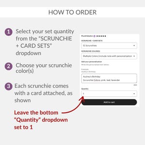 a screen shot of a web page with the instructions for how to order