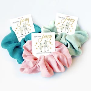 Horse Party Favors for Girls, Scrunchie Hair Tie Favor, For Your Pony, Horse Birthday Party Favors, Equestrian Party, Cowgirl Party - D400
