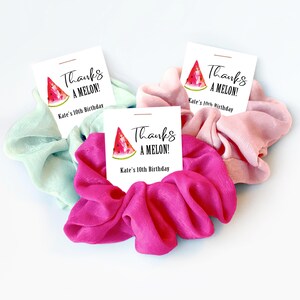 Watermelon Party Favors, Hair Scrunchies, Thanks a Melon, Watermelon Theme, Summer Party Favor, Watermelon Birthday Party Favors