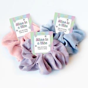 Groovy Birthday Party Favors, Scrunchie Hair Tie Favors, Nine Is A Vibe, 9 Is A Vibe, Rainbow Retro 9th Birthday Goodie Bag Fillers