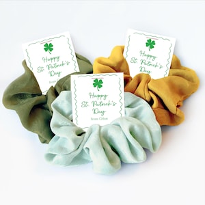 Cadeaux de la Saint-Patrick pour des amis, chouchou, Saint-Patrick, articles de fête pour la Saint-Patrick, cadeau de la Saint-Patrick pour une classe d'école