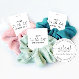 Afdrukbare haar Scrunchie bruidsmeisje voorstel tag, bruidsmeisje, bruidsmeisje vak items, ik kan de knoop niet binden zonder jou, digitale DOWNLOAD
