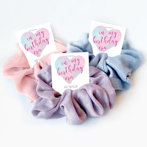 In My Birthday Era Party Favors, Hair Scrunchie Favors, Pastel Eras Party Favors, Birthday Party Goodie Bag Fillers for Girls