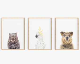 Set of 3 Animal Art Prints, Australian Nursery Wall Art, Baby Shower Gift