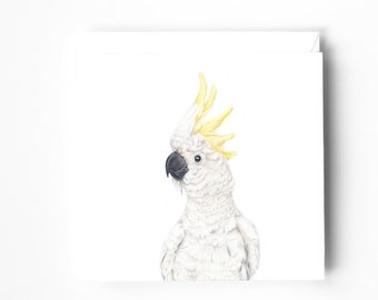 White Cockatoo Card, Australian Animal Gift Card, Bird Card, Blank Greeting Card, All Occasions Card, Gift for Her