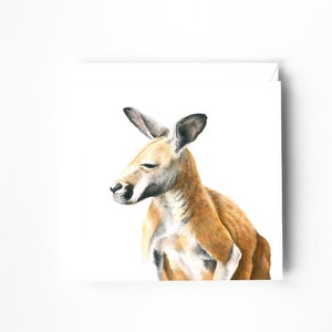Blank Greeting Card, All Occasion Card, Birthday Card, Anniversary Card, Animal Art, Australian Animal Cards