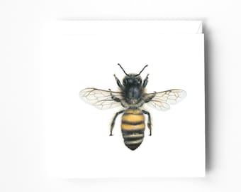 Bee Blank Greeting card, All occasion card, Entomology Card, Birthday card, Bee lovers card