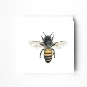 Bee Blank Greeting card, All occasion card, Entomology Card, Birthday card, Bee lovers card