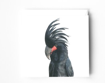 Palm Cockatoo Blank Greeting Card, All Occasions Card, Bird Card, Bird lovers Gift