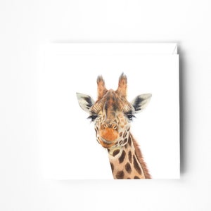 Carte de voeux vierge, carte d'anniversaire, carte d'animaux, carte toutes occasions, carte d'amoureux des animaux