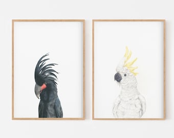 Australian Bird Prints, Palm Cockatoo Print, White Cockatoo, Home Wall decor, Housewarming gift