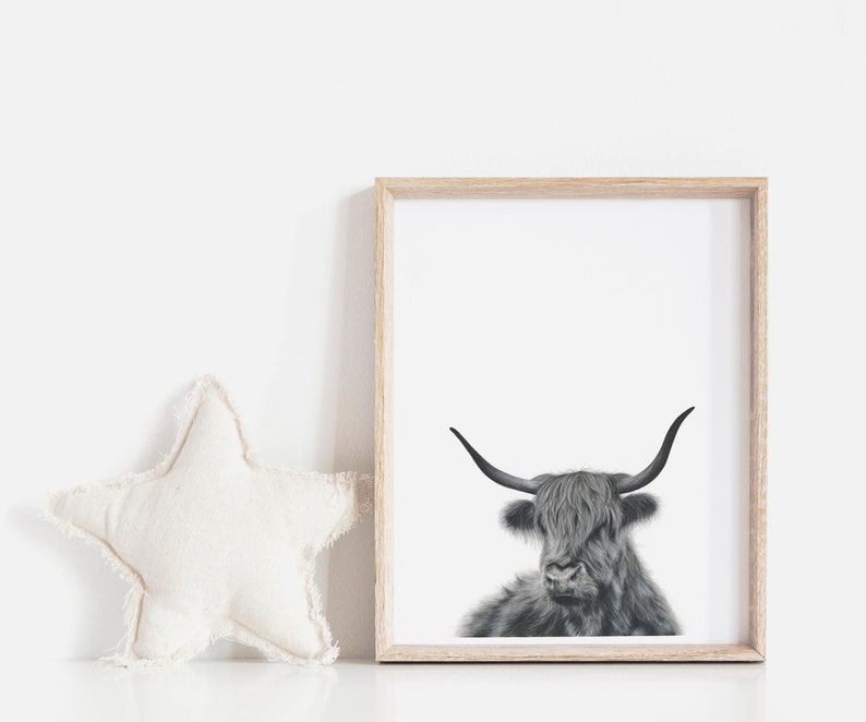 Highland Cow Print, Cow Decor, Nursery Wall Art, Prints for Boys, Large Wall Art image 9