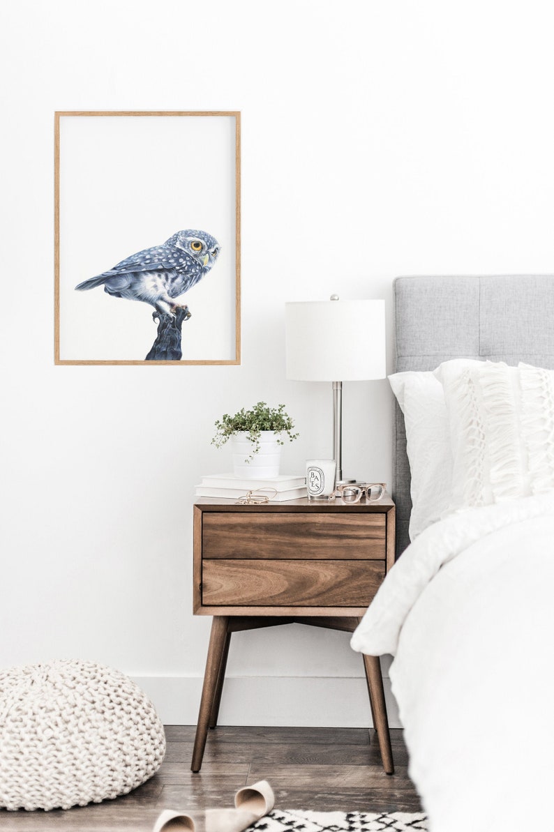 Owl Nursery Prints Woodland Animals Kitchen Decor Bedroom Wall Decor Modern Nursery Wall Art Woodland Animals Baby Shower Gift