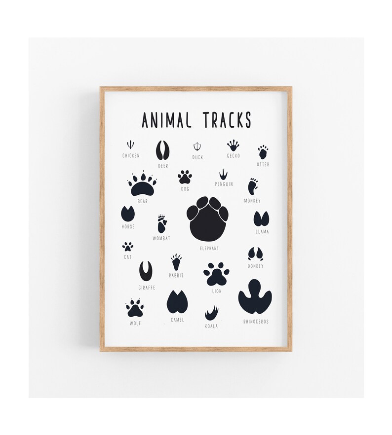 Animal Tracks Print Animal Tracks Poster Nursery Art Print - Etsy Australia