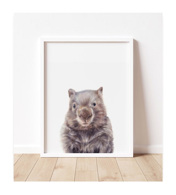 Australian Animal Prints Wombat Print Wall Art Australia - How To Tell What Animal Is In My Wall Australia Australian Animal Prints Wombat Print Wall Art Australia - How To Tell What Animal Is In My Wall Australia