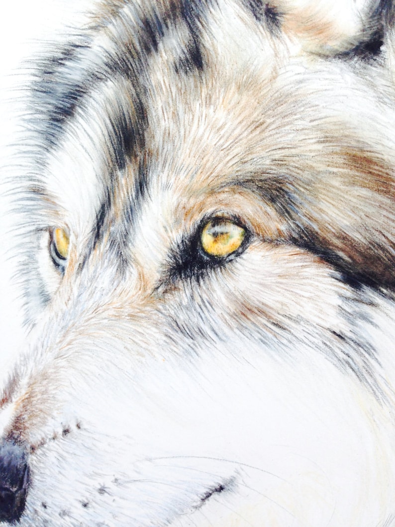 Animal Wall Art Bohemian Decor Art Presents for Dad Zen Home Decor Gift For Him Unique Birthday Gift Nursery Art Wolf Print