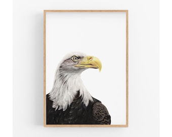 Bald Eagle Bird print, American Bald Eagle, Living Room Decor, Hawk Print, Bird lovers gift