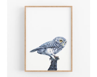 Bird Print, Owl Print, Woodland Animal Print, Gift for Her