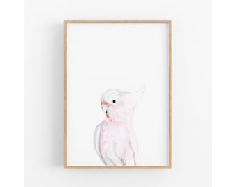Australian Bird Print, Cockatoo Art Print, Australian Animal Print, Galah Print, Gift for her