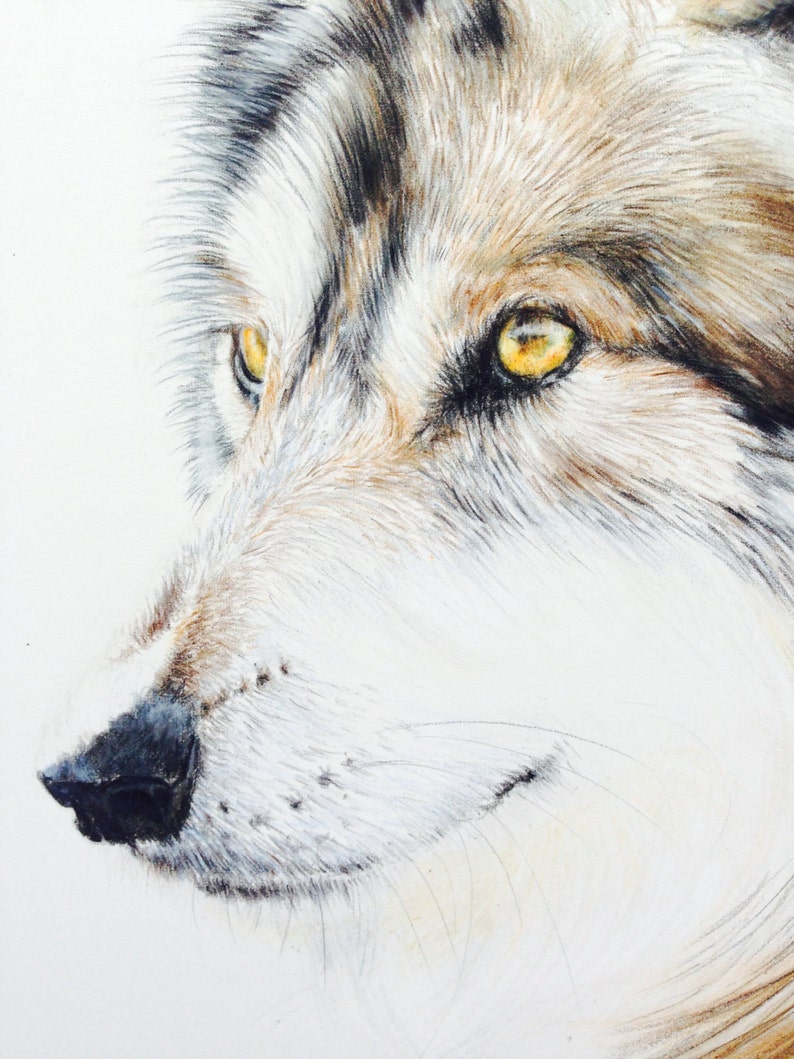 Animal Wall Art Bohemian Decor Art Presents for Dad Zen Home Decor Gift For Him Unique Birthday Gift Nursery Art Wolf Print