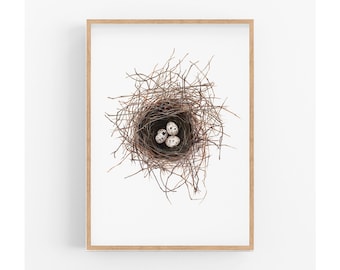 Birds Nest Wall Art Print, Nature inspired wall art, Gift for her, Bird lovers gift