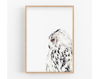 White Owl Art Print, Colour Pencil Drawing of an Owl, Bird Art Print, Scandinavian Art, Gift for Her