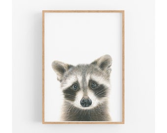 Raccoon Woodland Animal Art Print, Woodland Nursery, Baby Shower Gift