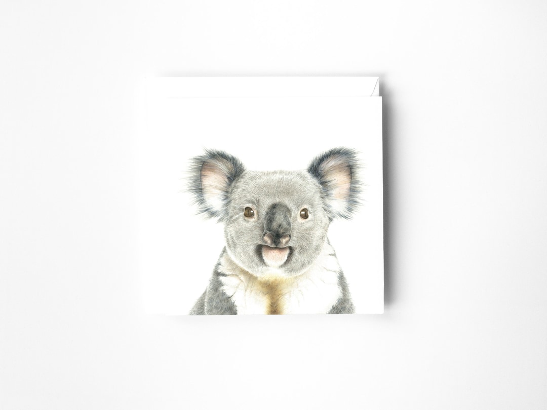 Koala Bear Card, Blank Greeting Card, Australian Animal Card, Birthday — free download