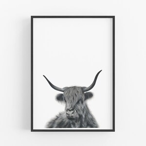 Highland Cow Print, Cow Decor, Nursery Wall Art, Prints for Boys, Large Wall Art image 10