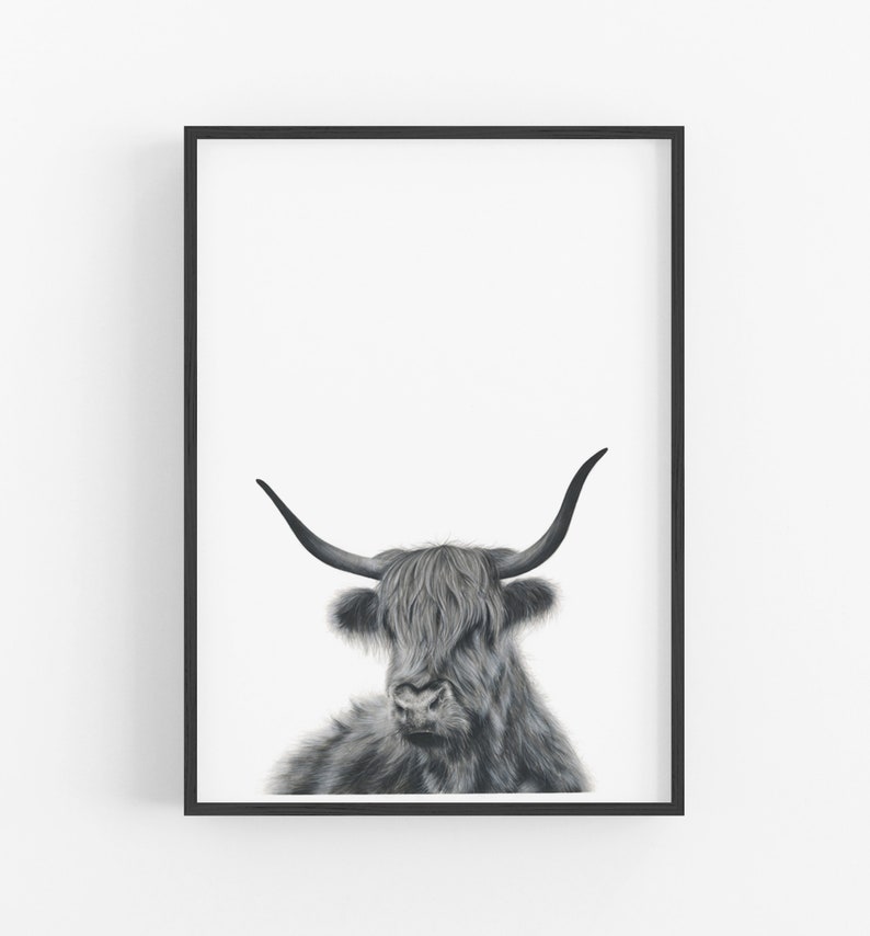 Highland Cow Print, Cow Decor, Nursery Wall Art, Prints for Boys, Large Wall Art image 10