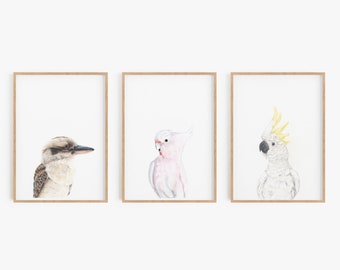 Set of 3 Australian Bird Prints, Animal Printt, Cockatoo Print, Kookaburra Print, Bird lovers gift
