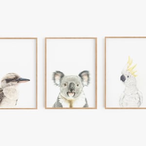 Australian Animal Wall Art Prints, Set of 3 Prints, Animal Nursery Wall Art, Kookaburra, Koala, Cockatoo, Animal lovers Gift