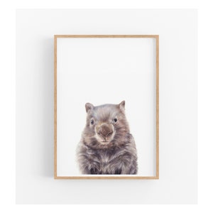 Australian Animal Wall Art Prints, Wombat Print, Bedroom Wall Art, Kids Wall Art