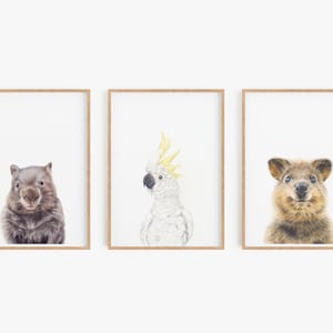 Set of Australian Animal Art Prints, Wombat Quokka and White Cockatoo Print, Australian Nursery, Animal lovers gift