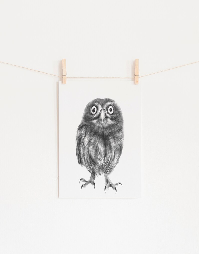 New Owl Baby Photo Frame 4 X 6 Inch Nursery Shower Gift Free New Owl Baby Photo Frame 4 X 6 Inch Nursery Shower Gift Free Au Postage