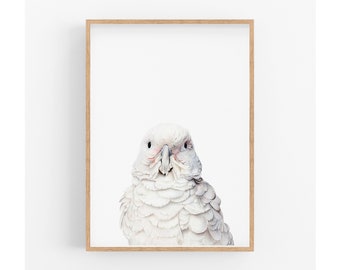 White Cockatoo Print, Australian Bird Print, Bird Lovers gift, Gift for Mum