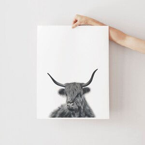 Highland Cow Print, Cow Decor, Nursery Wall Art, Prints for Boys, Large Wall Art image 7