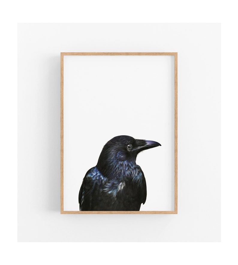 Bird Prints Crow Art Black Bird Wall Decor Wildlife Print Etsy