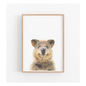 Quokka Art Print, Australian Animal Wall Art, Animal Art Prints, Nursery Wall Art, Nursery Decor, Animal lovers gift, Baby Shower Gift